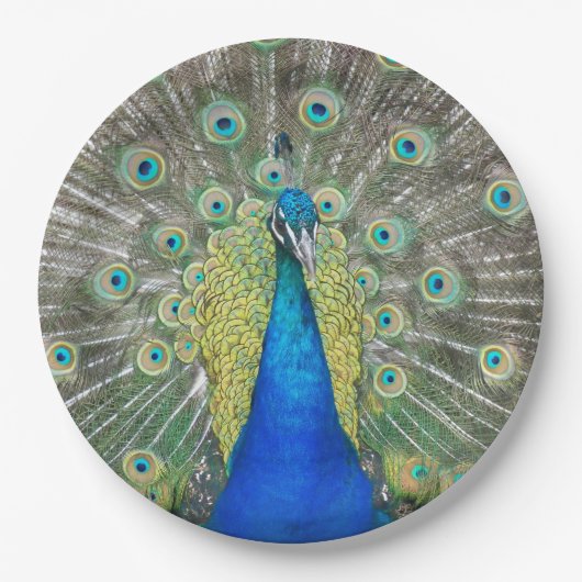 Blauer Pfauenfeder Pappteller (Vorderseite)