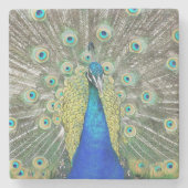 Blauer Pfauenfeder Steinuntersetzer (Vorderseite)