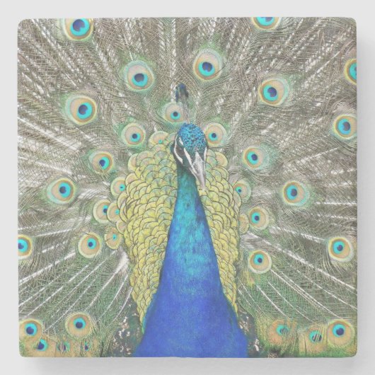 Blauer Pfauenfeder Steinuntersetzer (Vorderseite)