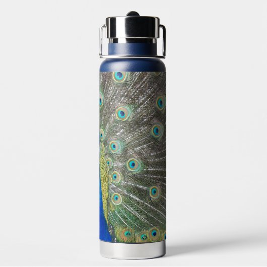 Blauer Pfauenfeder Trinkflasche (Hinten)