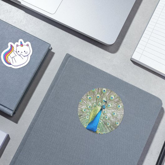 Blauer Pfauenfedermantel Plumage Foto Herz-Aufkleber