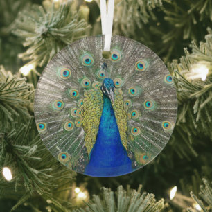 Blauer Pfauenfedermantel Plumage Foto Ornament Aus Glas