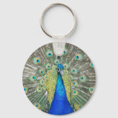 Blauer Pfauenfedermantel Plumage Foto Schlüsselanhänger (Rückseite)