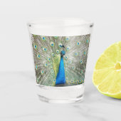 Blauer Pfauenfedermantel Plumage Foto Schnapsglas (Vorderseite)