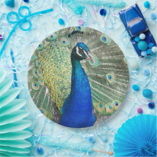 Blauer Pfauenfuß Plumage Foto Pappteller
