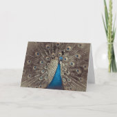 Blauer Pfauengedeckte Grußkarte Karte (Vorderseite)