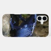 Blauer Pfeilgiftfrosch iPhone Hülle (Rückseite (Horizontal))