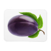 Blauer Pflaume Magnet (Horizontal)