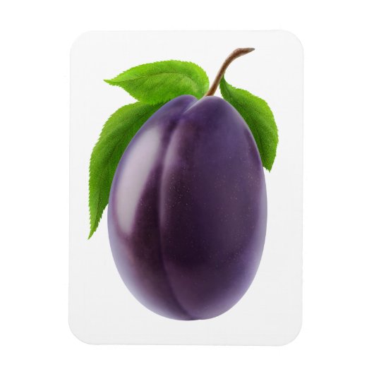 Blauer Pflaume Magnet (Vertikal)