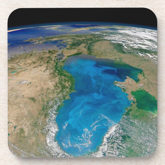 Blauer Phytoplankton blühen im Schwarzen Meer Getränkeuntersetzer (Vorderseite)