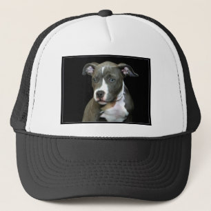 Blauer Pitbull Welpe Truckerkappe