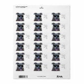 Blauer Pitbulle mit Brille Adressaufkleber (Vorne)