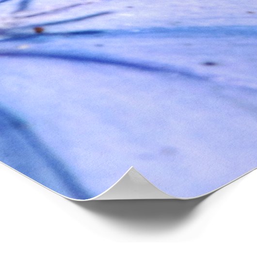 Blauer Plumbago auf Leinwand Poster (Ecke)