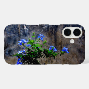 Blauer Plumbago iPhone 16 Hülle