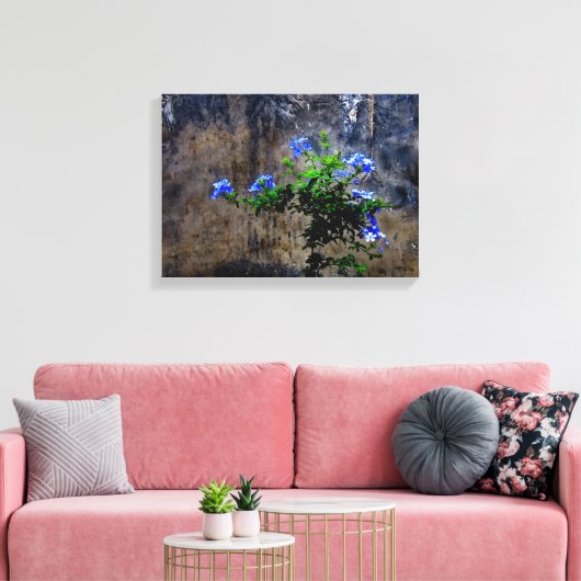 Blauer Plumbago Leinwanddruck (Insitu (Wohnzimmer))