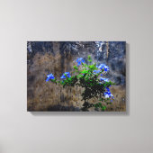 Blauer Plumbago Leinwanddruck (Vorderseite)