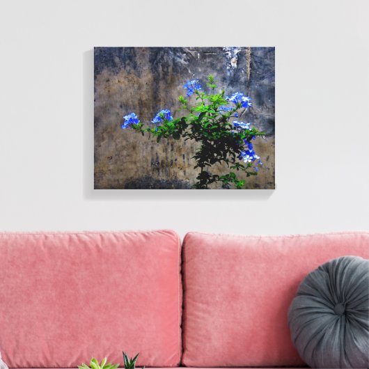 Blauer Plumbago Leinwanddruck (Insitu (Wohnzimmer))