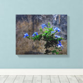 Blauer Plumbago Leinwanddruck (Insitu (Holzboden))