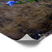 Blauer Plumbago Poster (Ecke)