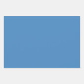 Blauer Polka-Dotstreifen Geschenkpapier Set (Vorderseite 3)