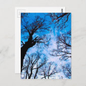 BLAUER POWER POSTKARTE (Vorne/Hinten)