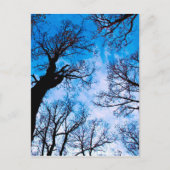 BLAUER POWER POSTKARTE (Vorderseite)