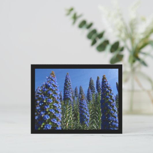 Blauer Preis für Madeira-Blume Postkarte (Stehend Vorderseite)