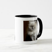 Blauer Punkt-Himalajakatze, die gereizt schaut Tasse (VorderseiteRechts)