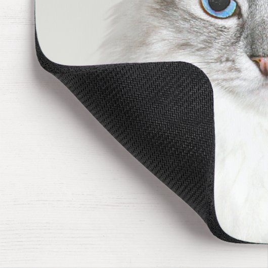 Blauer Punkt Himalaya-Katze Mousepad (Ecke)