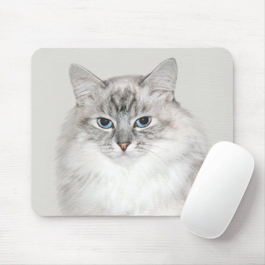 Blauer Punkt Himalaya-Katze Mousepad (Mit Mouse)