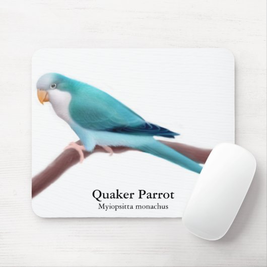 Blauer Quäker-Papagei Mousepad (Mit Mouse)