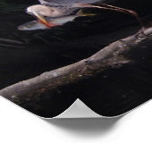 Blauer Reiher mit einem Fisch Poster (Ecke)