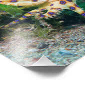 Blauer Ring Octopus Foto Print (Ecke)