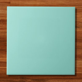 Blauer Robin Egg Blue Solid Color Fliese