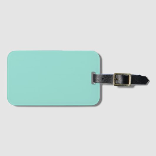 Blauer Robin Egg Blue Solid Color Gepäckanhänger (Vorderseite (Horizontal))