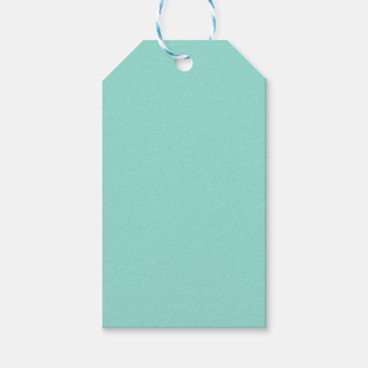 Blauer Robin Egg Blue Solid Color Geschenkanhänger (Vorderseite)