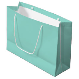 Blauer Robin Egg Blue Solid Color Große Geschenktüte