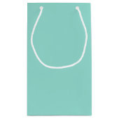 Blauer Robin Egg Blue Solid Color Kleine Geschenktüte (Rückseite)