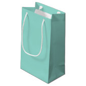 Blauer Robin Egg Blue Solid Color Kleine Geschenktüte (Rückseite Schrägansicht)