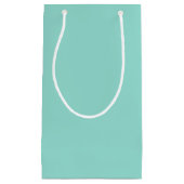 Blauer Robin Egg Blue Solid Color Kleine Geschenktüte (Vorderseite)