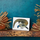 Blauer Rosa-Cartoon Fotoplatte (Seite)