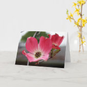 Blauer Rosa Dogwood Karte (Gelbe Blume)