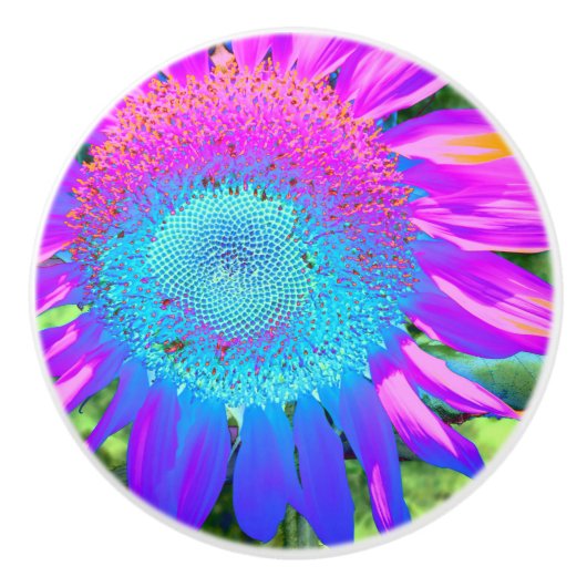 Blauer rosa Retro funky sonngeblümtes Foto Keramikknauf (Vorderseite)