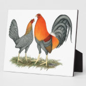 Blauer Roter Gamefowl Fotoplatte (Seite)