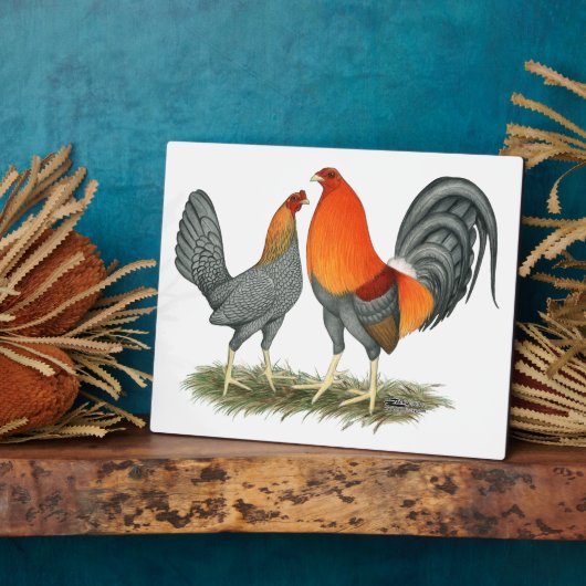 Blauer Roter Gamefowl Fotoplatte (Seite)