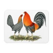 Blauer Roter Gamefowl Magnet (Horizontal)