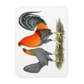 Blauer Roter Gamefowl Magnet (Vertikal)