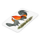 Blauer Roter Gamefowl Magnet (Linke Seite)