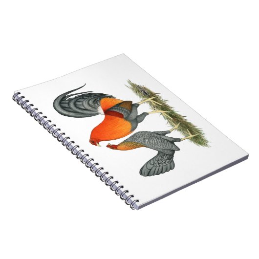 Blauer Roter Gamefowl Notizblock (Rechte Seite)