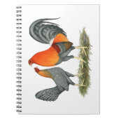 Blauer Roter Gamefowl Notizblock (Vorderseite)